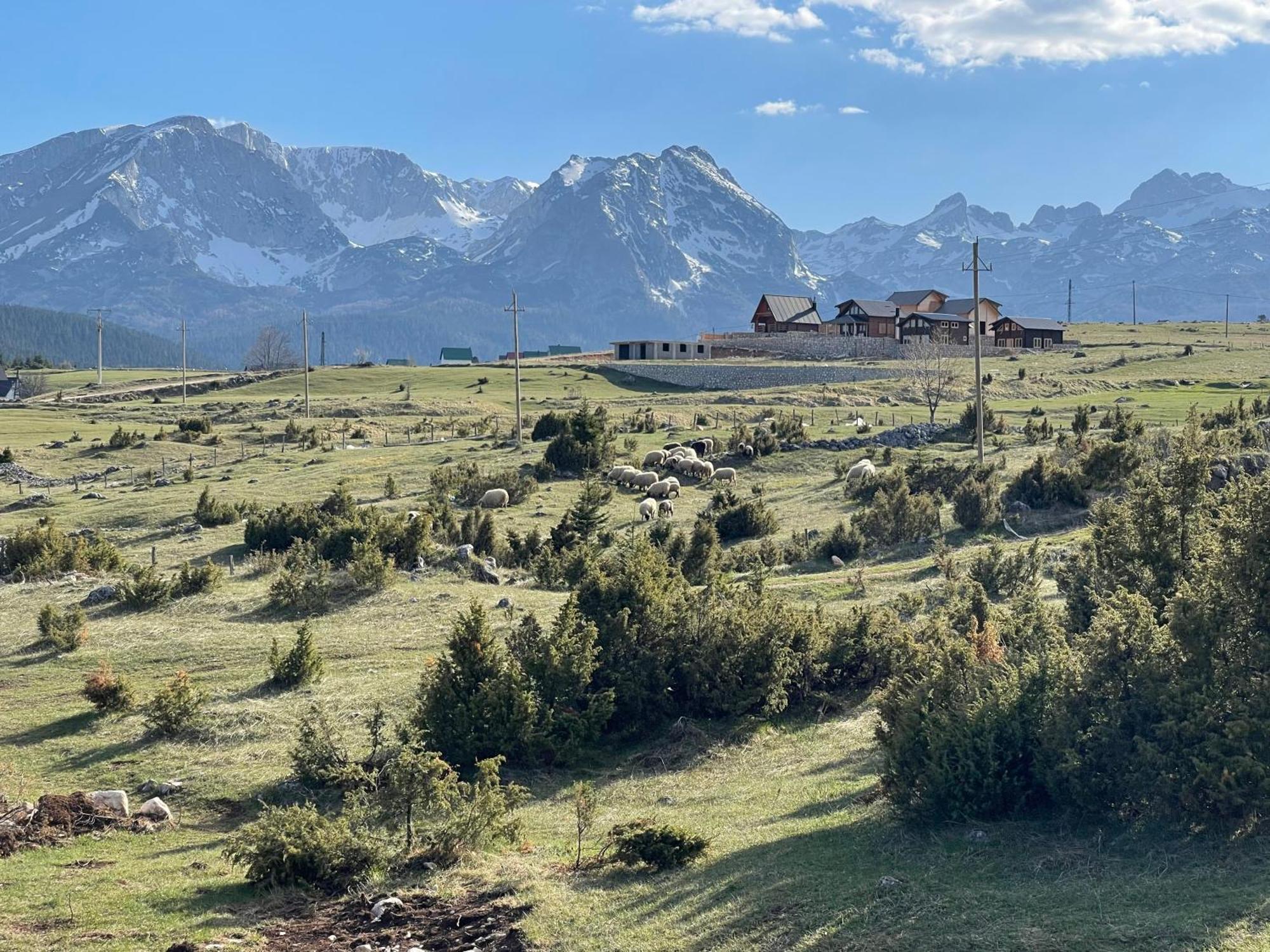 Peaksview Chalets جابلياك المظهر الخارجي الصورة